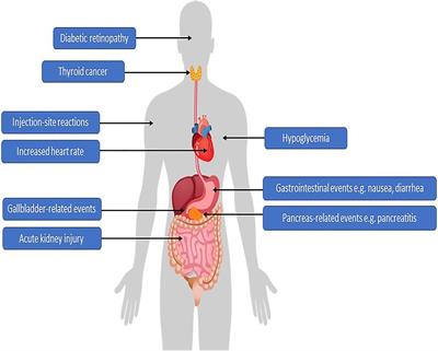 Frontiers Safety of Semaglutide